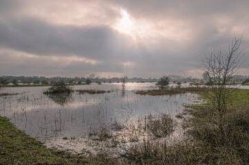 High water along the Rhine in Arnhem