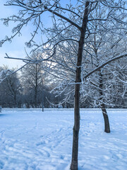 winter park in the evening
