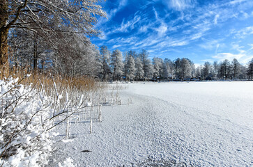 January landscape of frozen lake