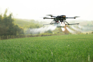 Drone spraying pesticide on wheat field.