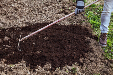 a man is raking fresh digged soil with compost