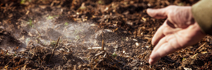 a man, sowing a mixture of seed and sand in his digged garden