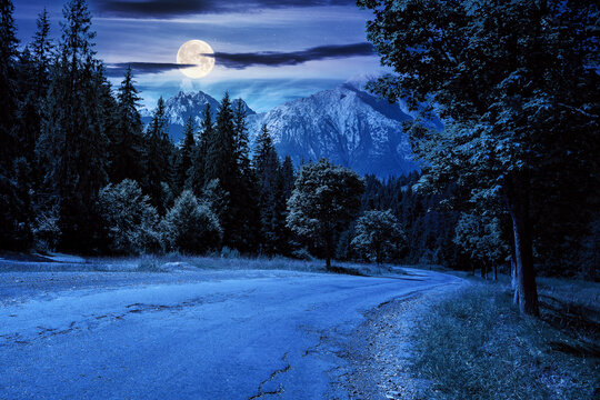 asphalt road through forested mountains at night. beautiful countryside transportation background. composite summer landscape with high tatra ridge in the distance in full moon light