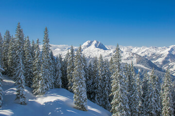 The Austrian Alps in winter near Kitzbuhel. Behind the snow covered fir trees the fog rises...