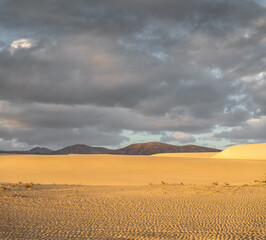 Dunes of Corralejo at Fuerteventura – Spain.
