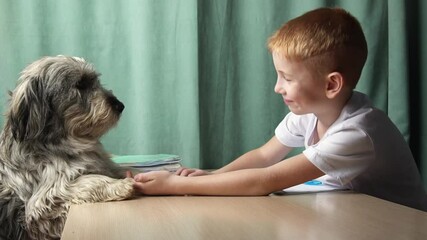 a red-haired boy sitting at a desk doing homework for school. a shaggy dog is sitting next to him and the boy is stroking the pet's fur and nose, smiling