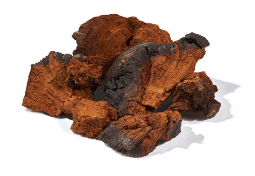 Natural chaga mushroom pieces isolated on a white background with cliping path without shadow. Inonotus Obliquus is a medical plant.
