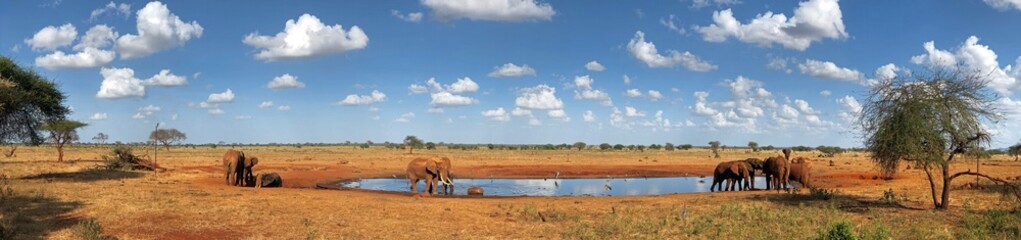 Africa Safari Kenya