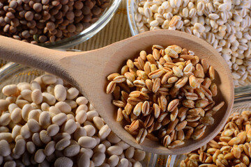 Cucchiaio di legno contenente farro perlato