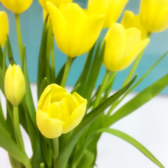A bouquet of yellow tulips. - 412167559