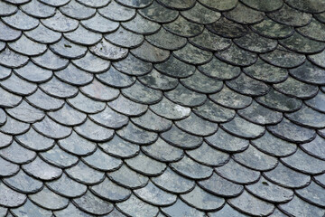 Dark roofing texture. Black wet roof tiles. Abstract background