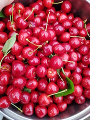 cherries in a bowl