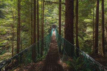 A young woman crosses a rainforest suspension bridge on the Juan de Fuca trail on the way to Mystic...