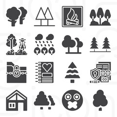 16 pack of mysterious  filled web icons set