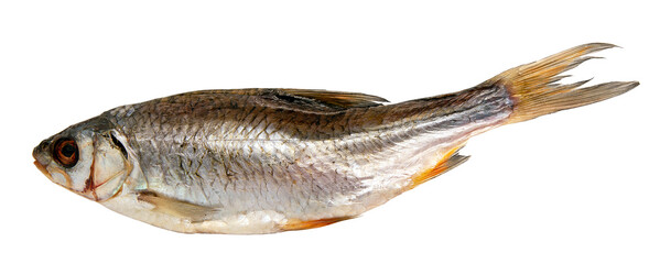 dried fish on white background for your design or layout