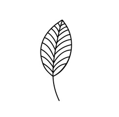 Spring Leaf Outline Vector line Icon. Doodle Spring Concept Minimal Style Illustration for kids book design or web. Element of tree logo