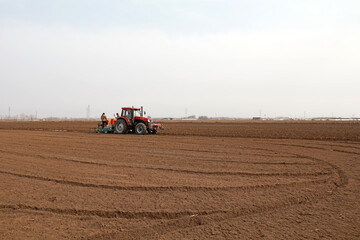 Fototapeta premium Farmers drive planters to grow potatoes on the farm.