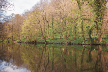 
A calm reflection on the Cammo Estate and River Almond walk at Cramond Brig in Edinburgh, Scotland.
