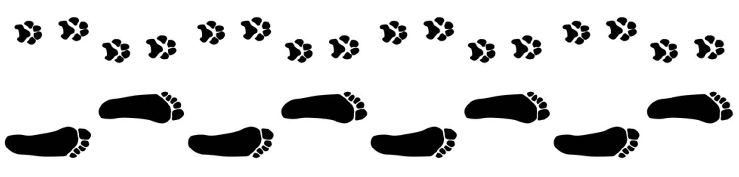 Image of footprints of dog and adult isolated, vector silhouettes, friendship concept