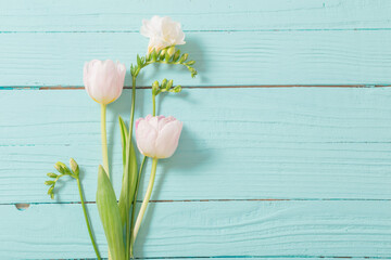spring flowers on blue mint wooden background