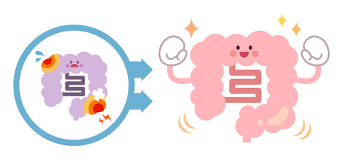 不健康な腸から健康な腸になるビフォーアフター