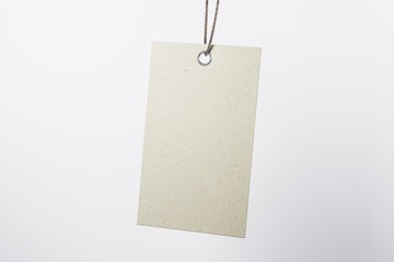 Blank beige eco label tag from recycled kraft paper on cotton twine at light empty background. Eco label tag concept. Mock up. 3D rendering