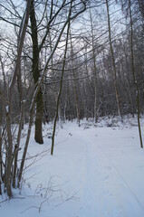 winterliche Landschaft in Europa Bielefeld