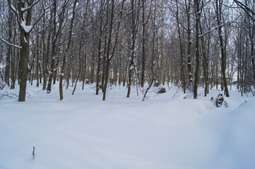 winterliche Landschaft in Europa Bielefeld