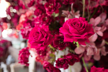 beautiful and romantic pink roses background