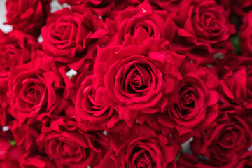 beautiful and romantic red roses background