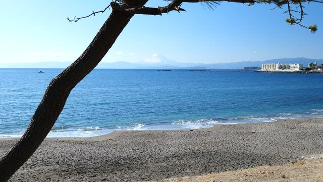 早春の葉山町の風景　一色海岸　2月