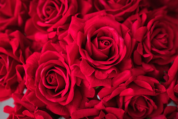 beautiful and romantic red roses background