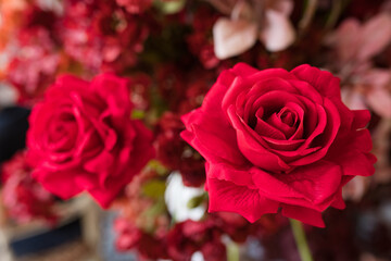 beautiful and romantic red roses background