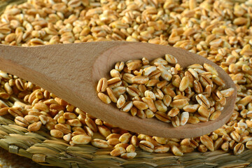 cucchiaio di legno con farro decorticato