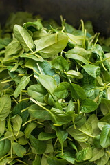 Close up photo of fresh green spinach background.