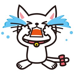 号泣する白い猫