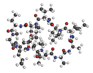 Voclosporin immunosuppressant drug molecule. 3D rendering. Atoms are represented as spheres with conventional color coding: hydrogen (white), carbon (grey), nitrogen (blue), oxygen (red).