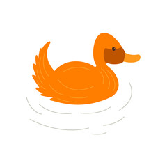 Cute duck swims. Colorful hand drawn vector isolated illustration doodle animal