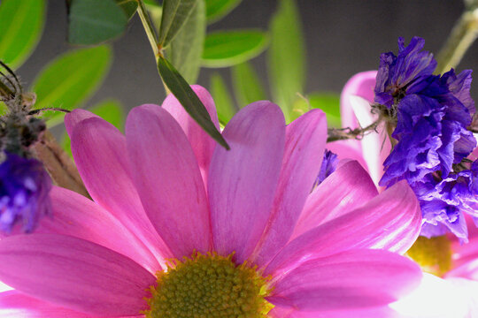 Pretty little mix of pink and blue flowers in a glass jar wigth greenery. Still life macrophotography of summer flowers. Perfect for prints, canvas, quotes, screensavers. With copy space 