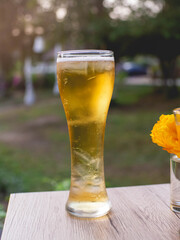 Cool beer glasses with natural atmosphere