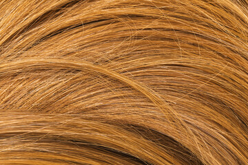 Background from female hair of light brown color