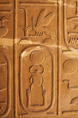 A wall carving with hieroglyphs Nisw-biti, Heperkare - King of Upper and Lower Egypt Senusert I, Karnak Temple