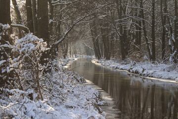 Märchenhafte Winterlandschaft im Spreewald; Spreearm bei Leipe