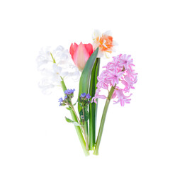 Bouquet of spring garden flowers on white background.