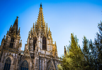 Fototapeta na wymiar Catedral de Barcelona con el cielo azul