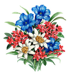 Alpine Flowers, Edelweiss and Gentian