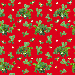 Beautiful seamless pattern with strawberry bush, can be used as packaging for fruit.