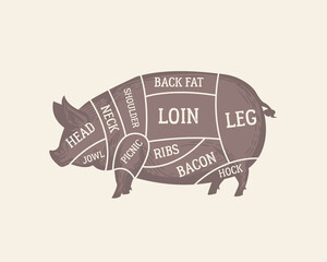 Cuts of Pork diagram. Butcher's guide poster. Pig silhouette. Meat cuts chart. Vintage poster, banner for butchery, grocery store, meat shop, restaurant. Vector illustration