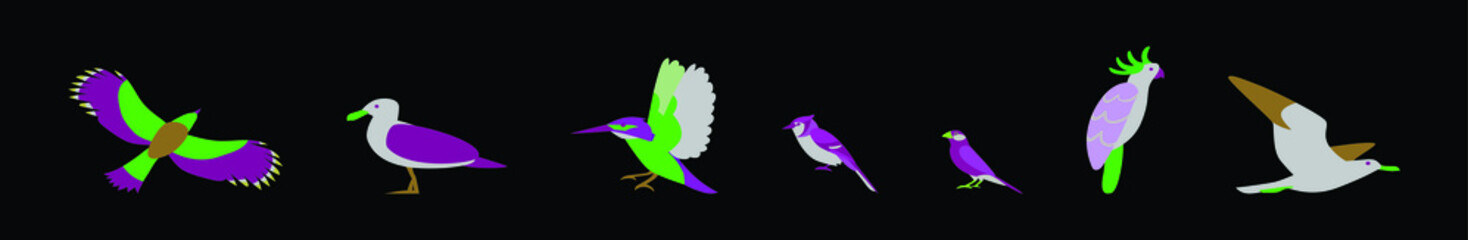 set of bird animals cartoon icon design template with various models. vector illustration isolated on black background