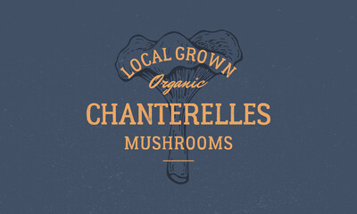 Mushroom vintage hipster logo. Chanterelles mushrooms logo with mushroom engrave silhouette. Vector illustration